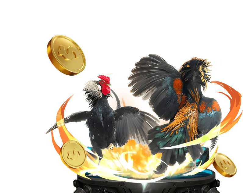 Các loại hình cá cược phổ biến